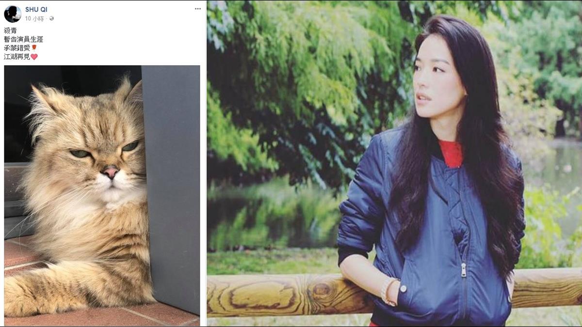 暫別演藝圈不礙事!舒淇投資神準 當「最美吃貨」成億萬富婆