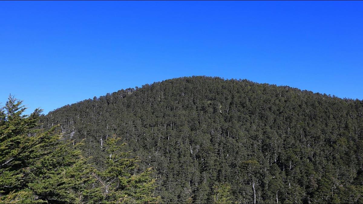 山難國賠案大逆轉 登山攝影師:「政府沒有義務保護不自量力的人」