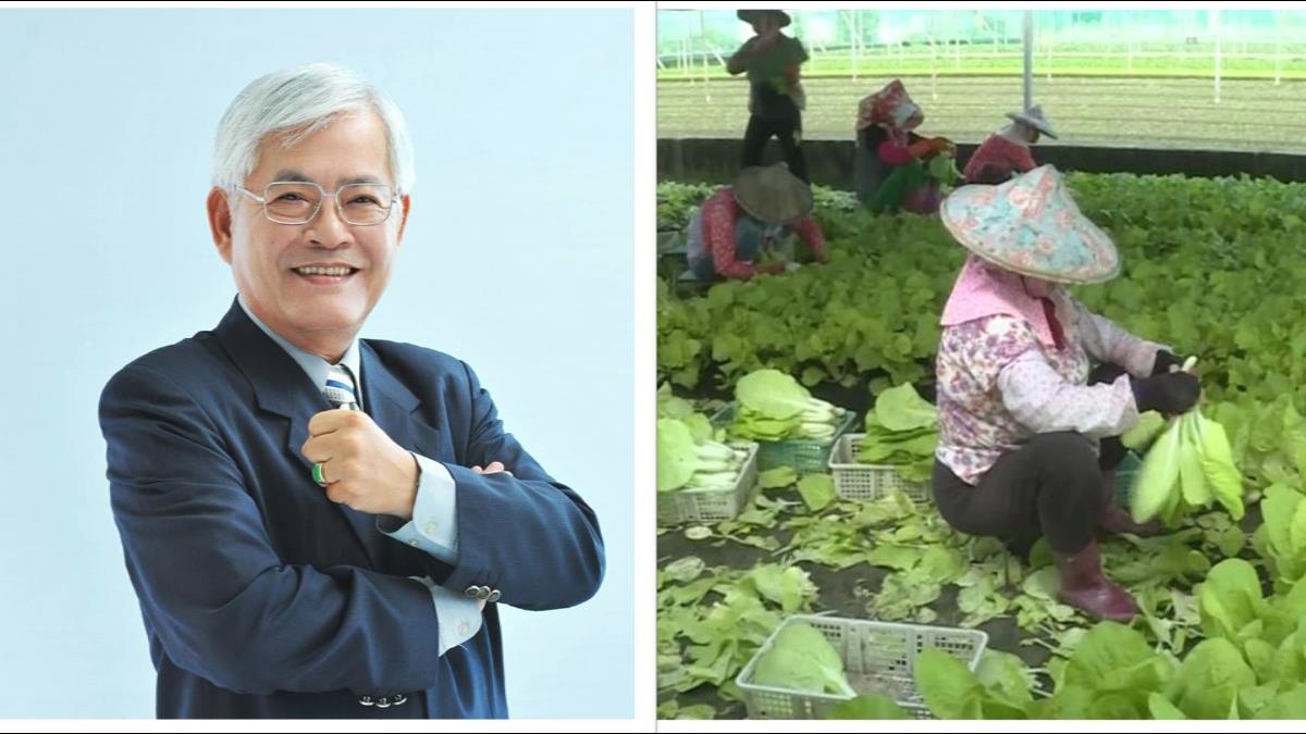菜價崩盤一肩扛!李進勇護農:有意耕鋤每公頃補助7.5萬