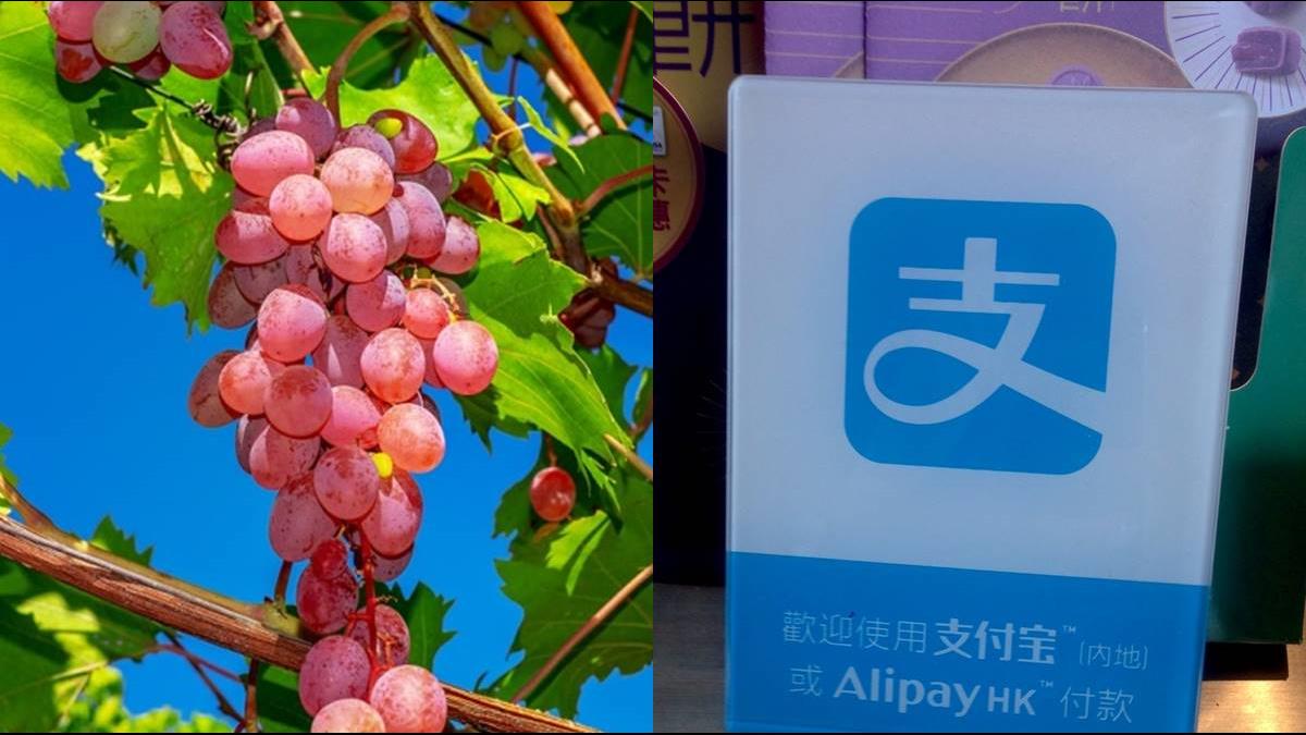 掏「現金40元」買葡萄遭拒收!陸行動支付燒過頭?
