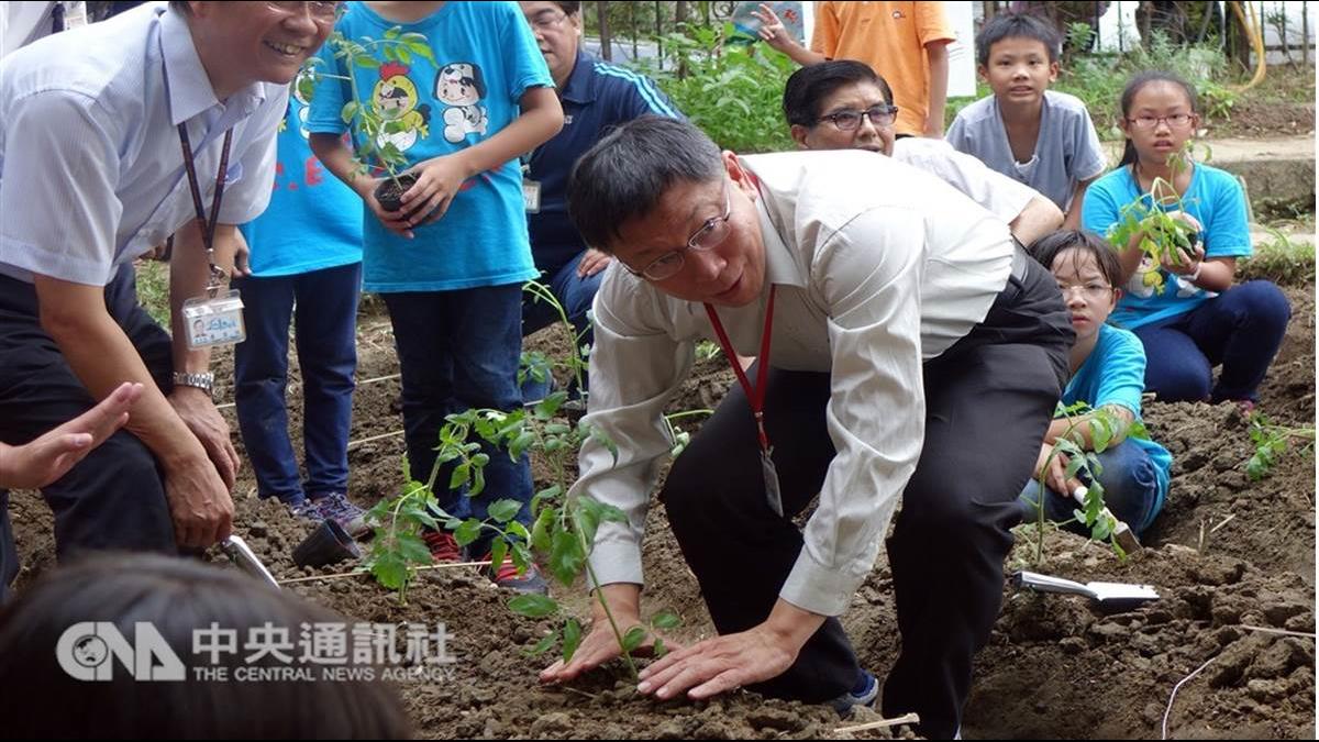 媽媽帶小孩上學順便種菜?柯P田園城市構想將成真