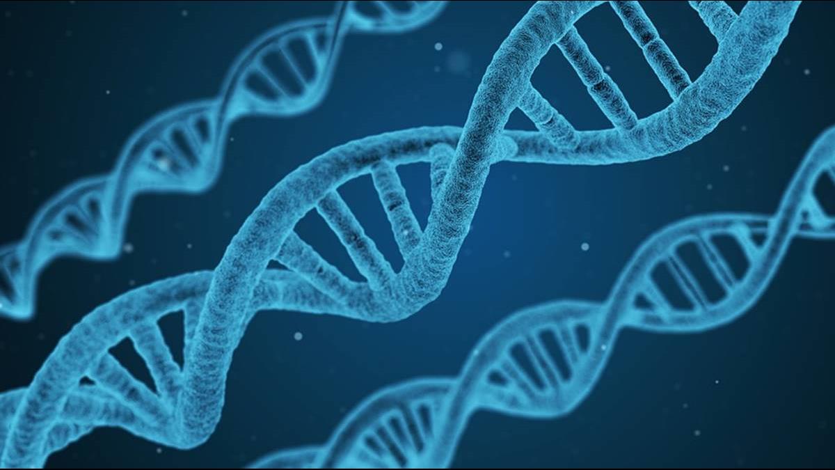 砸32萬就能分辨天才兒童？陸家長靠這奇招測天賦