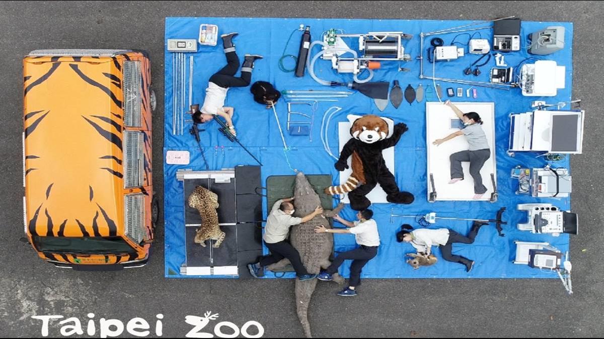 開箱挑戰燒不停!動物園、總統府皆參戰