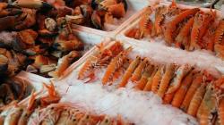 大陸爆「甲殼類病毒」疫情！日媒：目前未能得知是否傳人