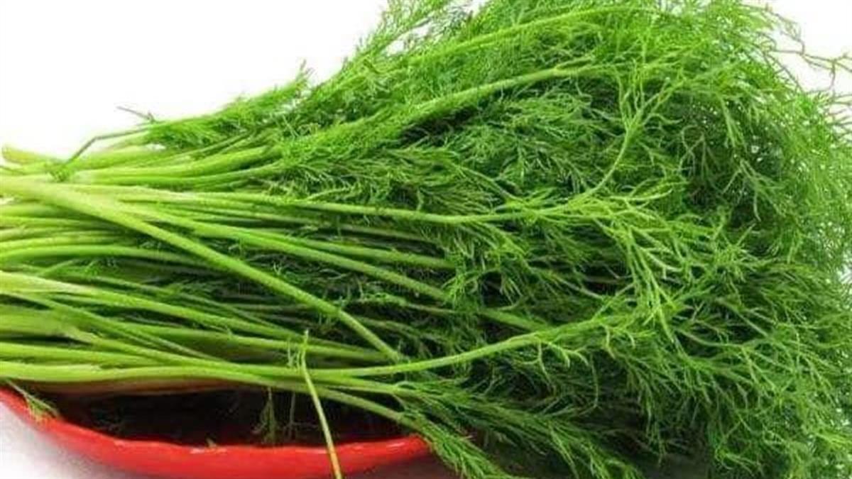 比香菜恐怖100倍？網一面倒推「地表剋星」：吃一口直接暈