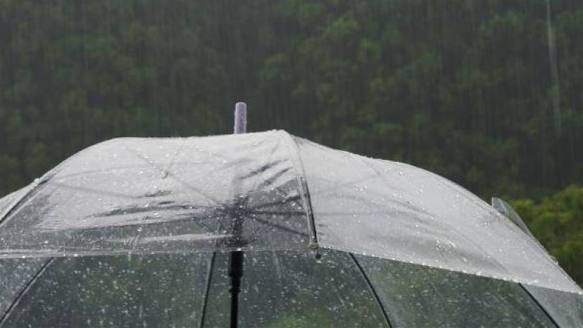 穀雨要小心！ 專家示警「4生肖」：有血光之災