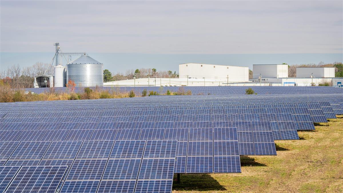 反中資企業傾銷！美對東南亞祭太陽能關稅 「這國」竟遭課3521%