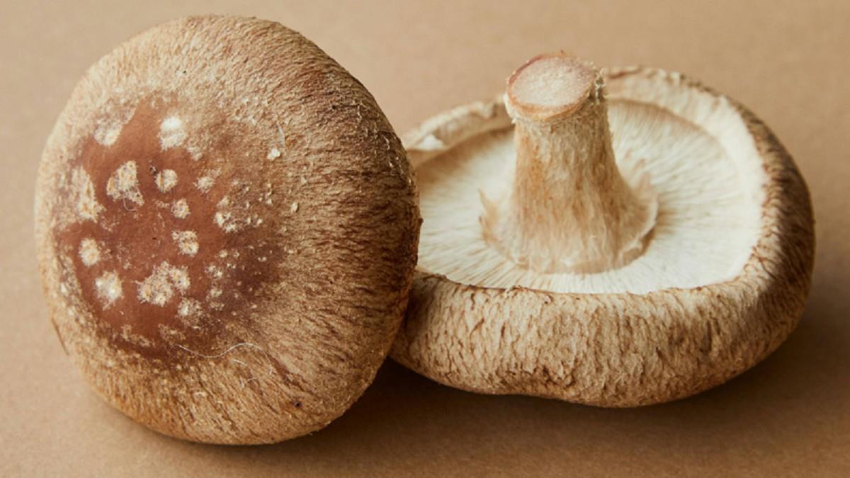 香菇不能洗？ 農糧署揭背後原因：煮熟更重要