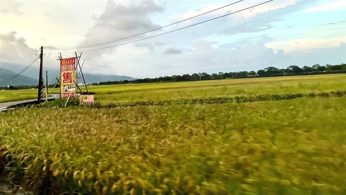 1千萬買的農地「暴漲到2億」爸不賣 網勸：有人出價要珍惜