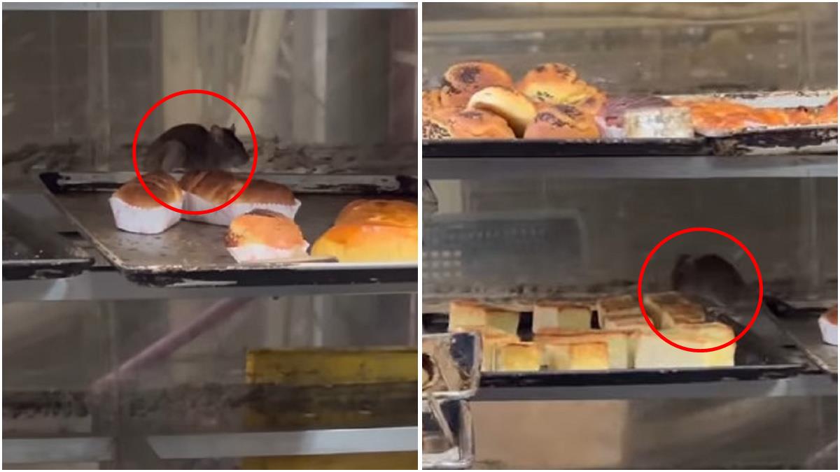 三重老牌麵包店 烤盤驚見「老鼠小偷」業者回一句：丟掉了