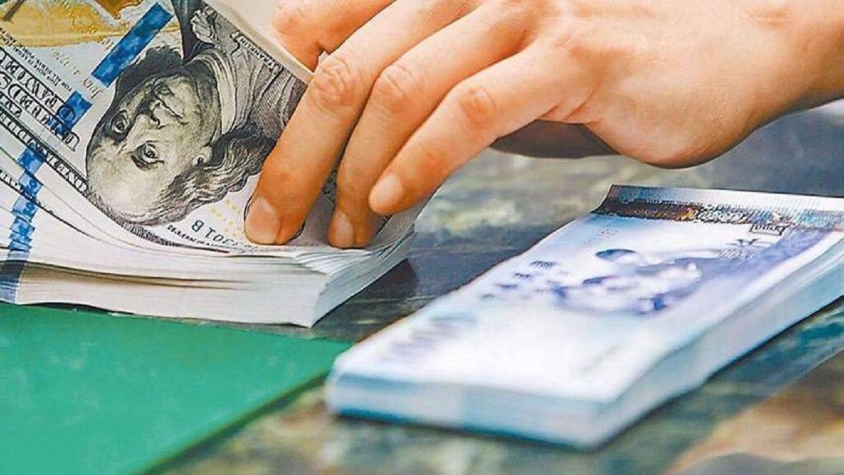 川政府「大麥克理論」會逼台幣到13.3？ 謝金河：不可能