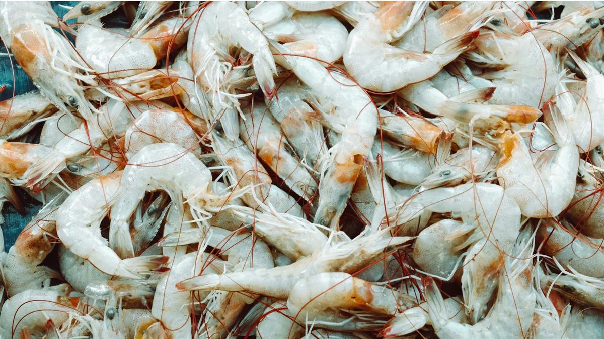 「這國」賣蝦到台灣超開心！ 官方製圖秀政績：喜賺6千萬