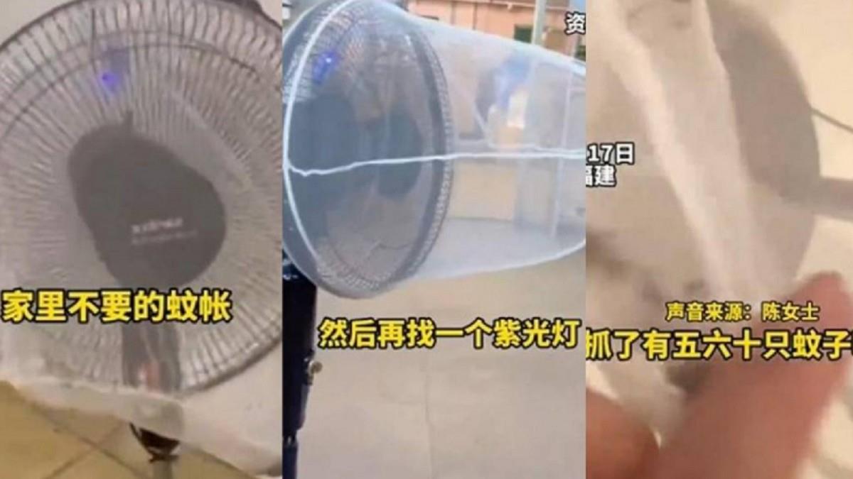 DIY捕蚊神器「5小時抓60隻」 幾乎零成本網讚爆