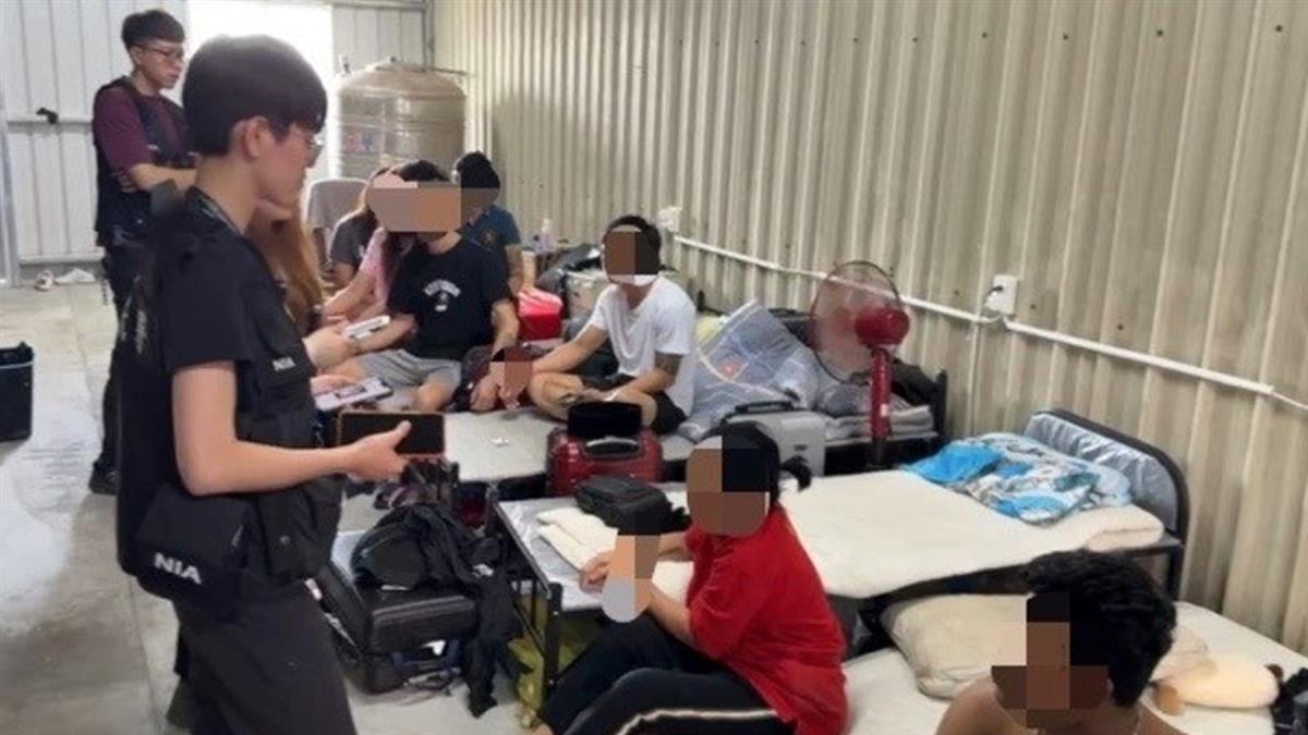 時薪80元！新北雞肉加工廠逮16黑工 黑心仲介喊冤：賠本生意