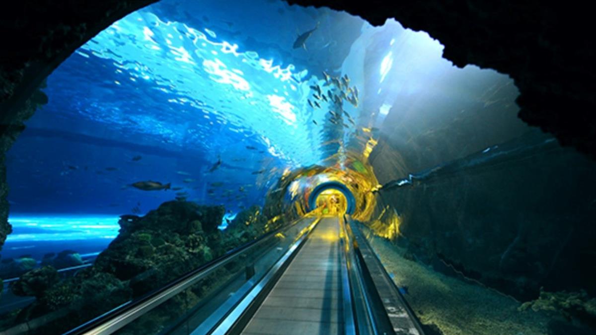 地圖見墾丁「超頂1景點」 內行推爆：海虐日本