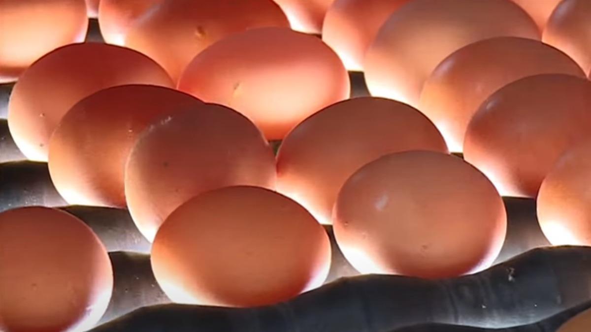 產能過剩！ 蛋商公會決定先漲3元 原因曝光