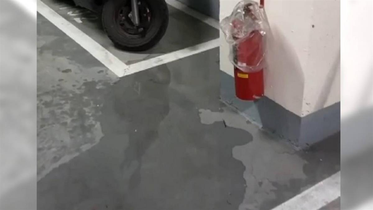 新屋慘變水樂園！ 他控天花板整排止漏劑：建商只來擦地板