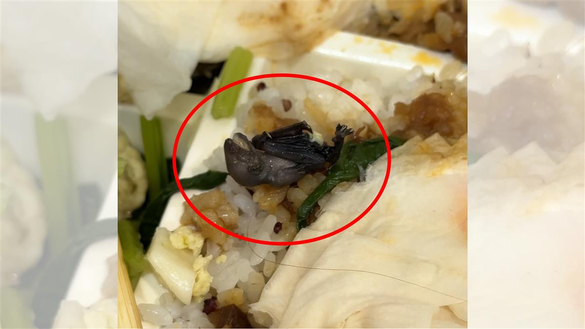 不是蟑螂老鼠！便當驚見「這生物」太誇張 他不滿店家爆炸了
