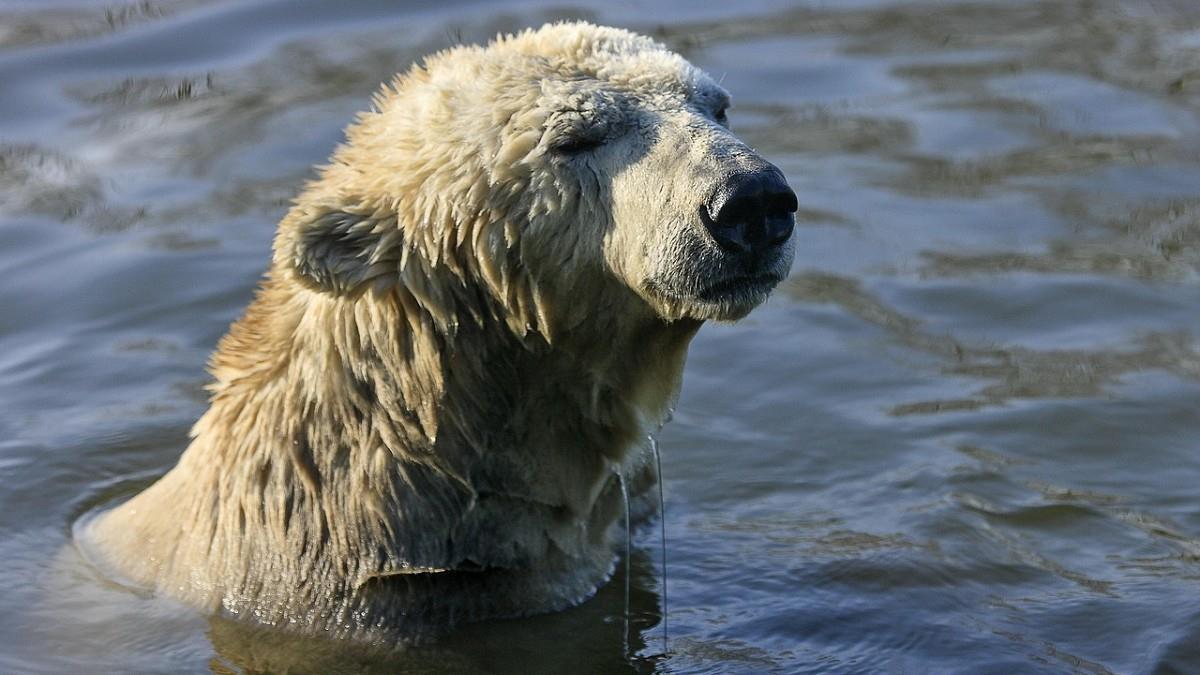 全球氣候危機！「升溫1.5°C」防線將失守 碳預算僅剩2年