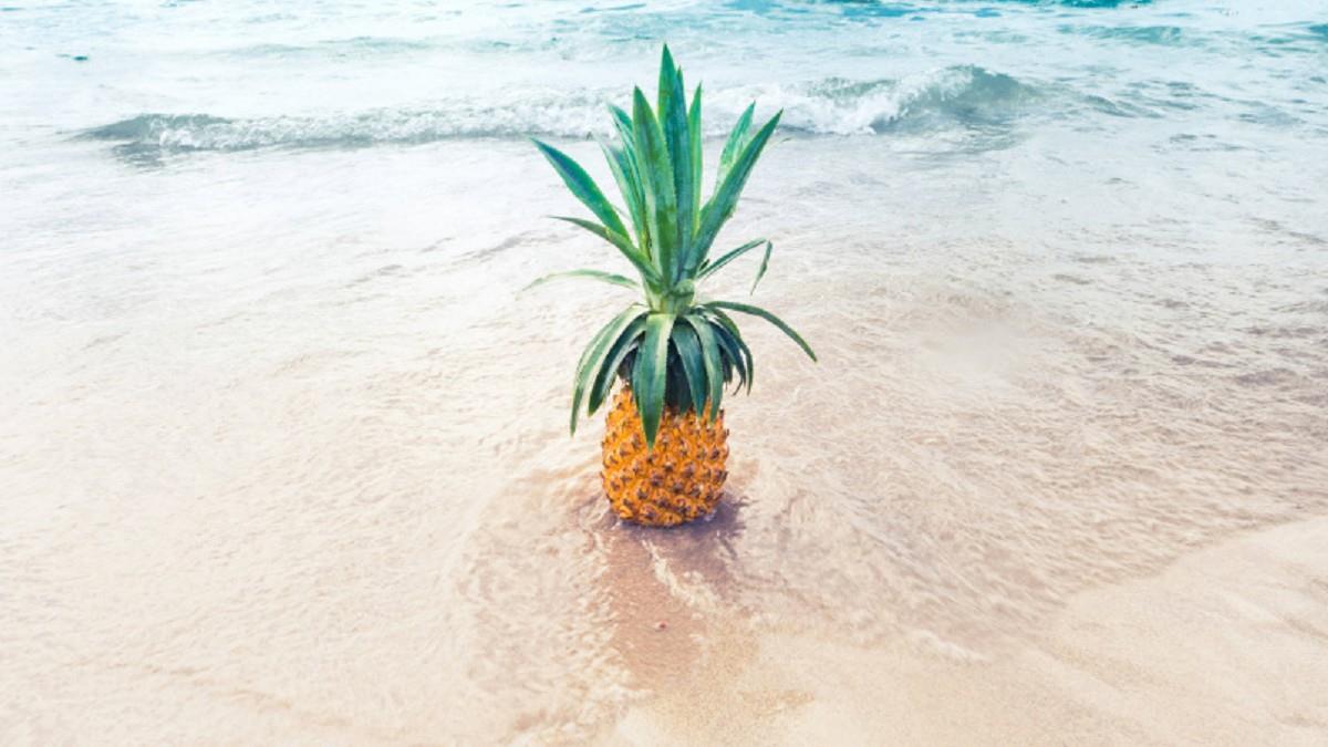 夏至陽氣旺！「3生肖」財運發 屬兔有意外驚喜