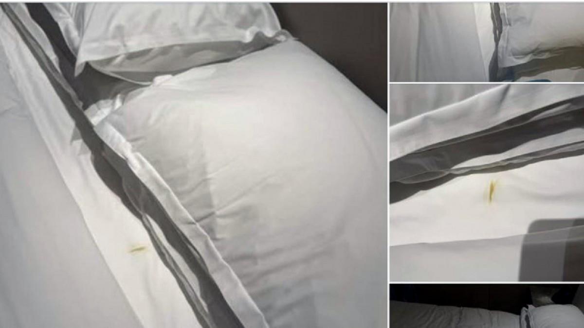 花萬元住飯店「床上竟有屎」？ 高雄萬豪回應了