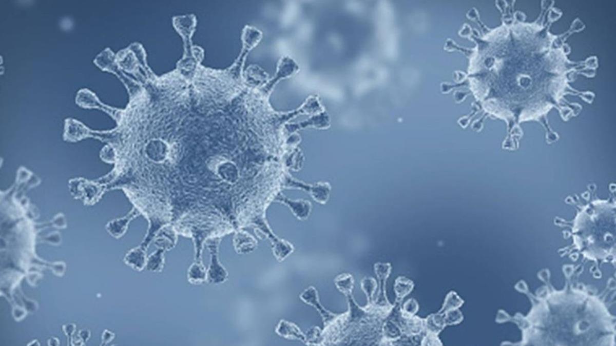 新冠仍處高原期 新增39死 疾管署籲：高風險族群快接種