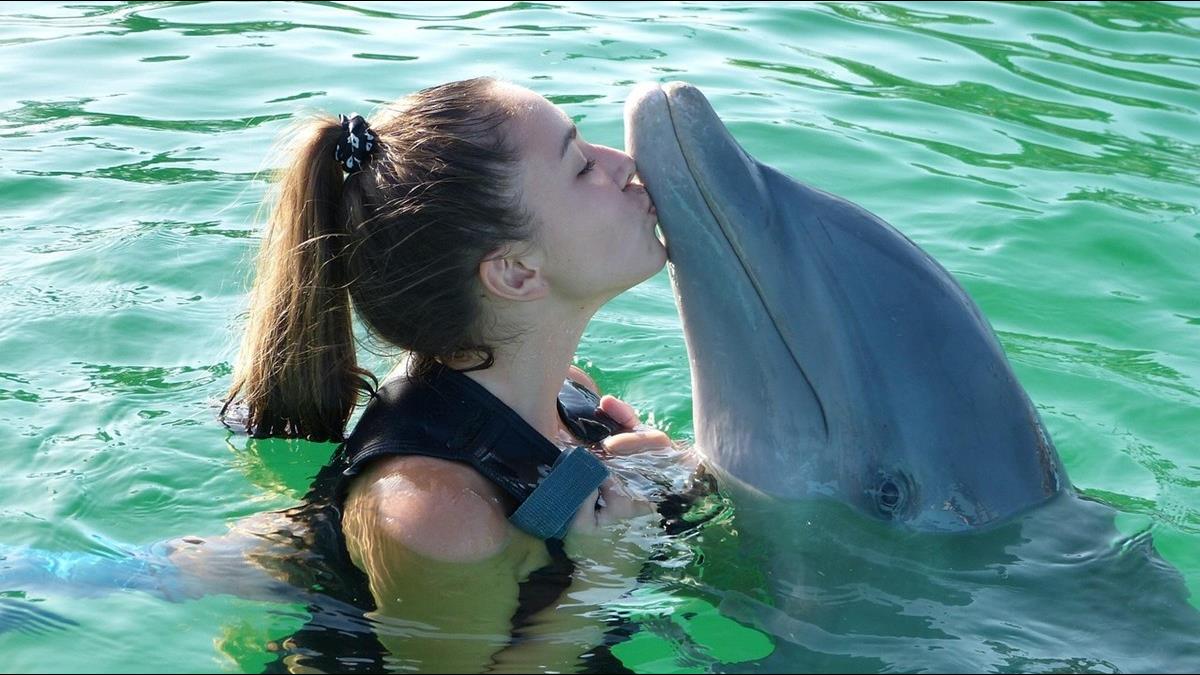 徵首席摸魚官！日做2小時月薪12萬 網熱議