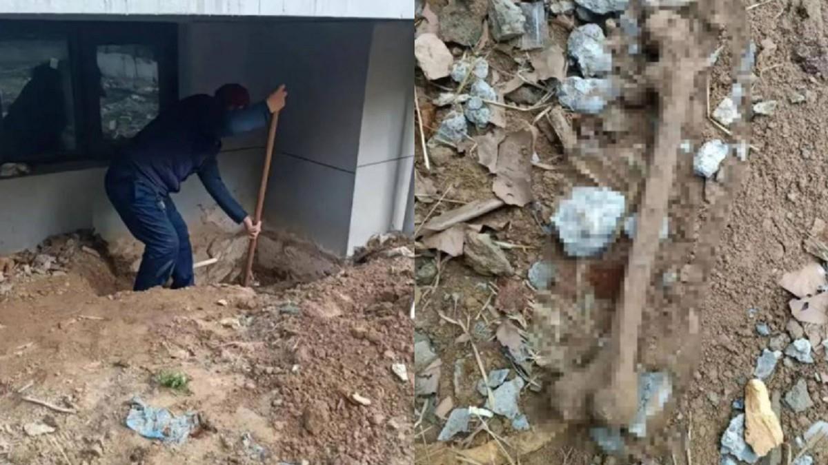 買新房「院子挖出人骨」！ 她嚇到腿軟喊換屋 建商拒賠償