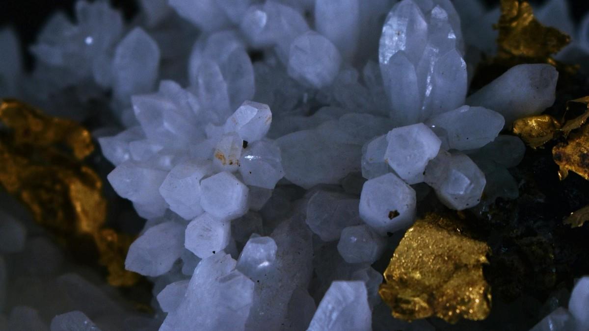 金價持續飆高！ 恐助長非洲「血黃金」供應鏈 專家：難分辨來源