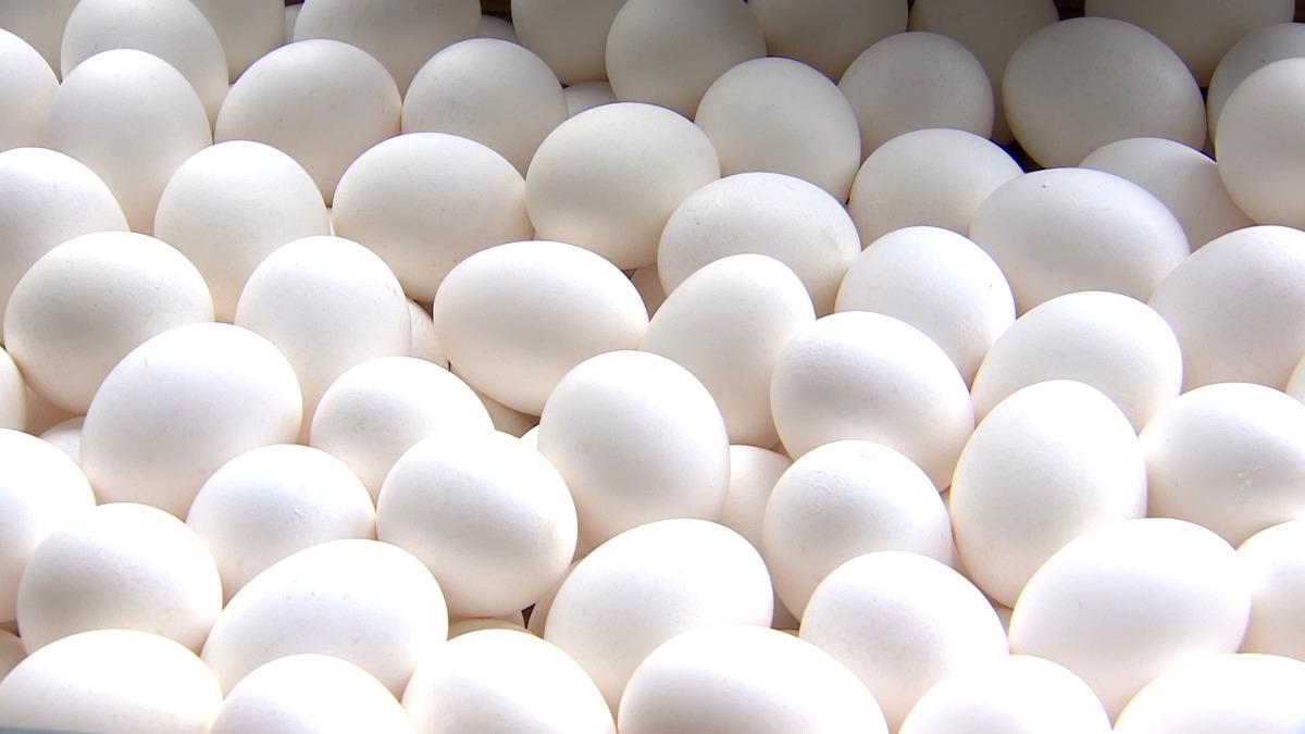 蛋商公會宣布「明起急降3元」救市 蛋農怒了：沒先溝通