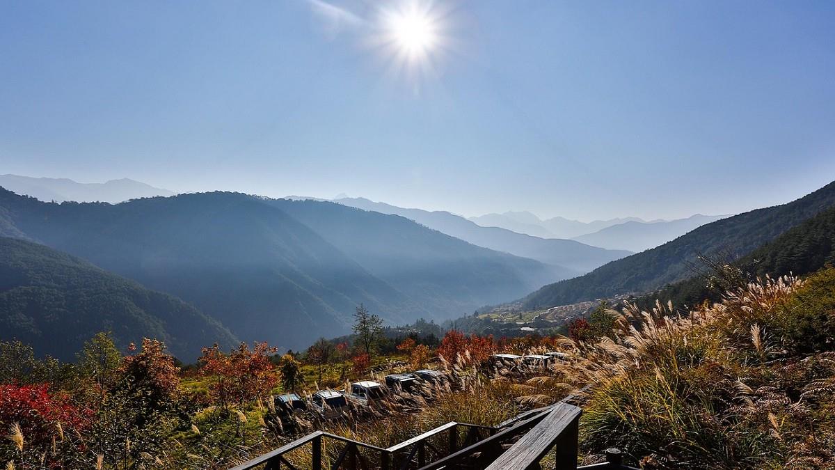 「4生肖」當心健康！ 小暑開運養生、禁忌一次看