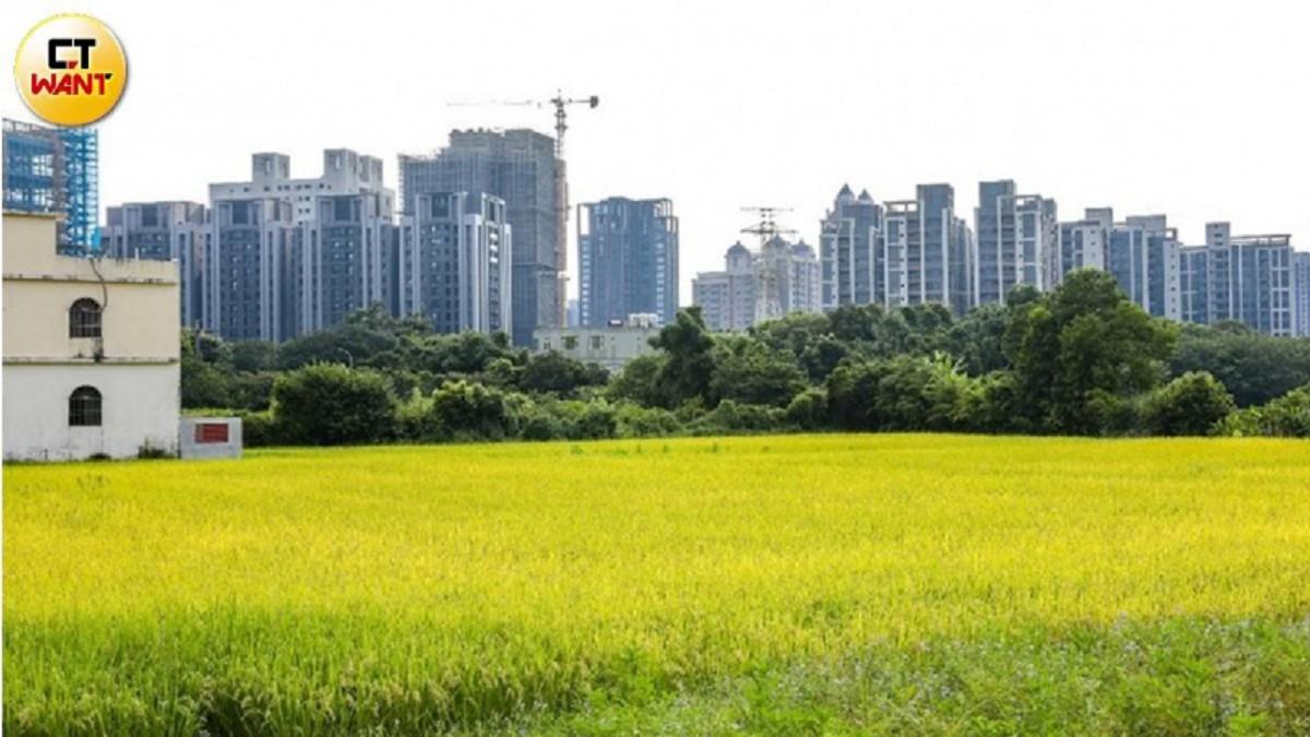 假園區真炒地？特農地炒天價「1坪飆18萬」 地政士：早晚問題
