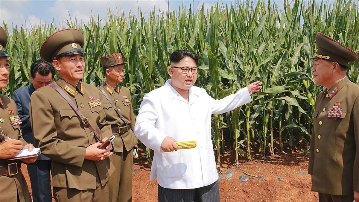 川普想靠私交 勸金正恩「終結核武」金與正：妄想