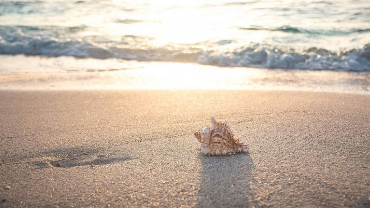 盛夏「4生肖」運勢爆棚！貴人提攜投資獲利 財運大噴發