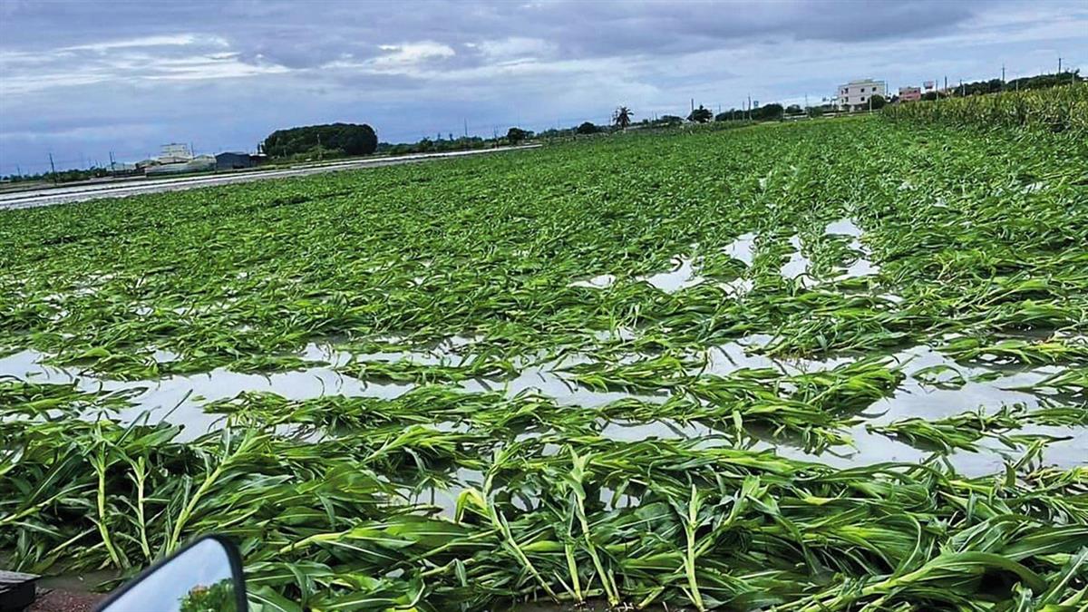 丹娜絲「公告5大受災區」 下半年免繳健保費 適用條件一次看