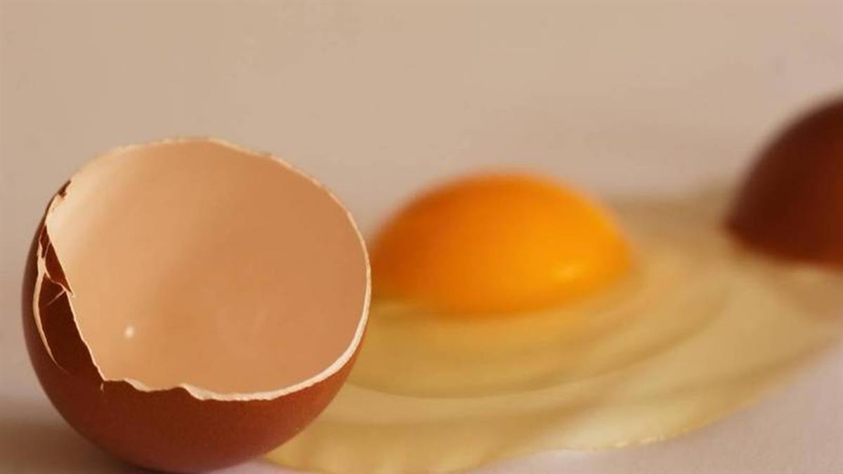 吃炒雞蛋全家中毒...竟是太愛乾淨釀禍？專家曝5地雷存放方式