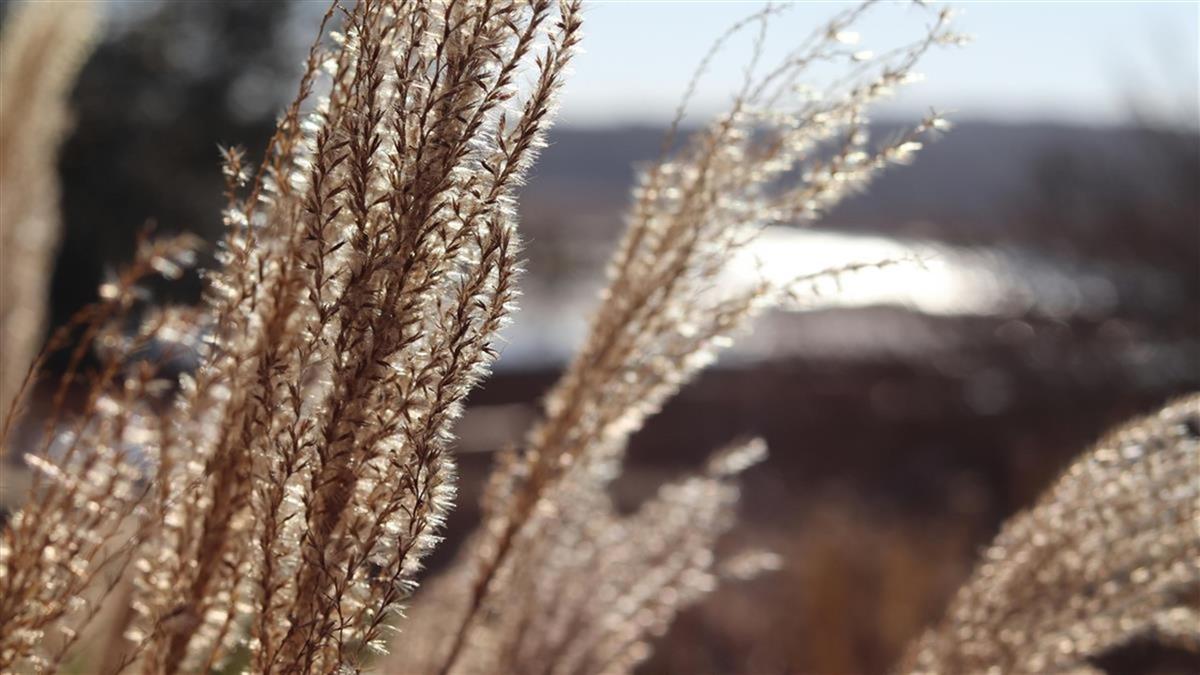 立秋＋天赦！ 專家讚雙吉「百年難遇」 納財改運撇步一次看