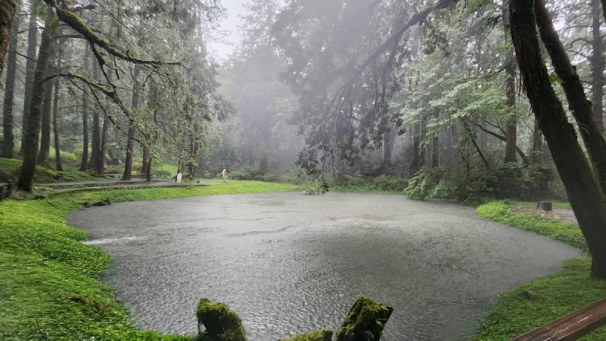 阿里山列「大規模崩塌警戒區」 網轟飯店：宣布停班課才退費