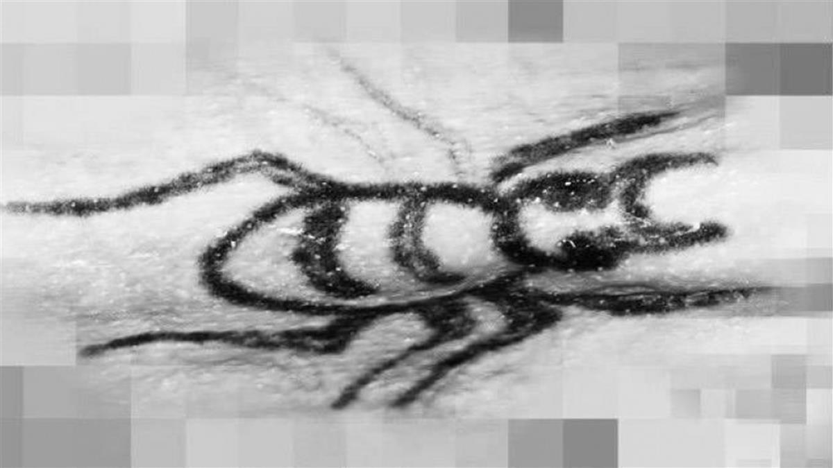 指紋比對中了！ 新莊行李箱棄屍案 死者是他爸