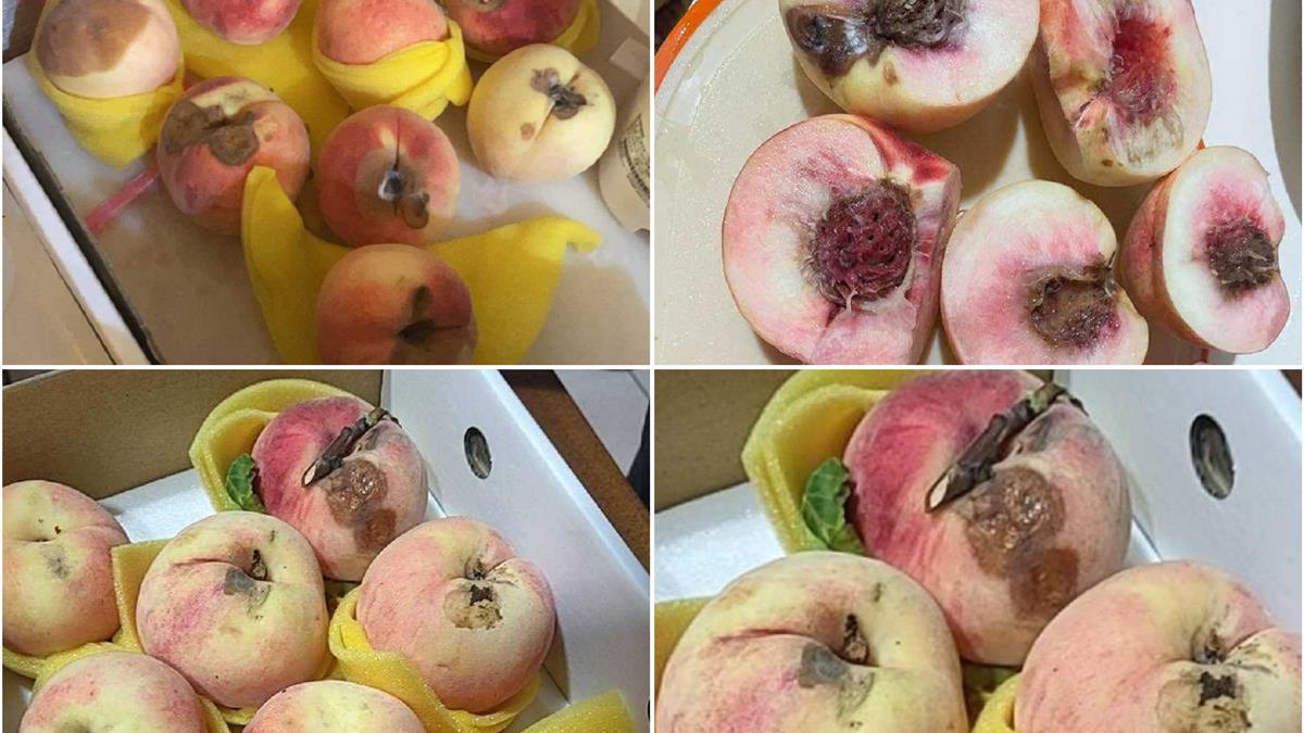 老夫妻拉拉山賣水蜜桃！ 他買「32爛24顆」氣轟：怪自己太信任