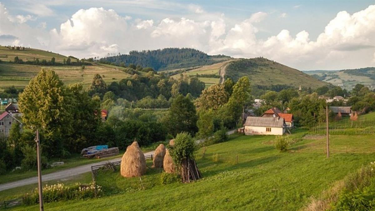 打拚38年想歸隱田園！6旬翁帶2千萬退休種田 下場尷尬了
