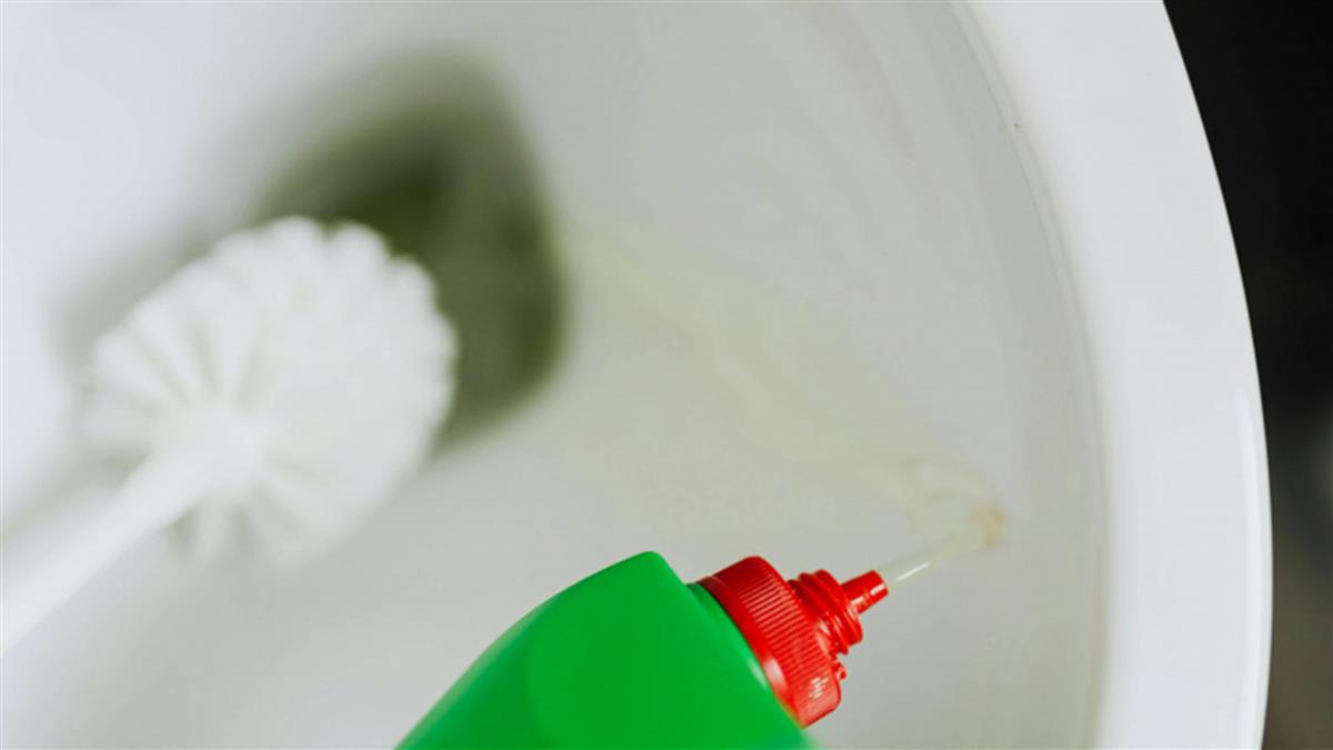 別把蟑螂沖馬桶！醫示警「可能爬回來」：數量恐變多