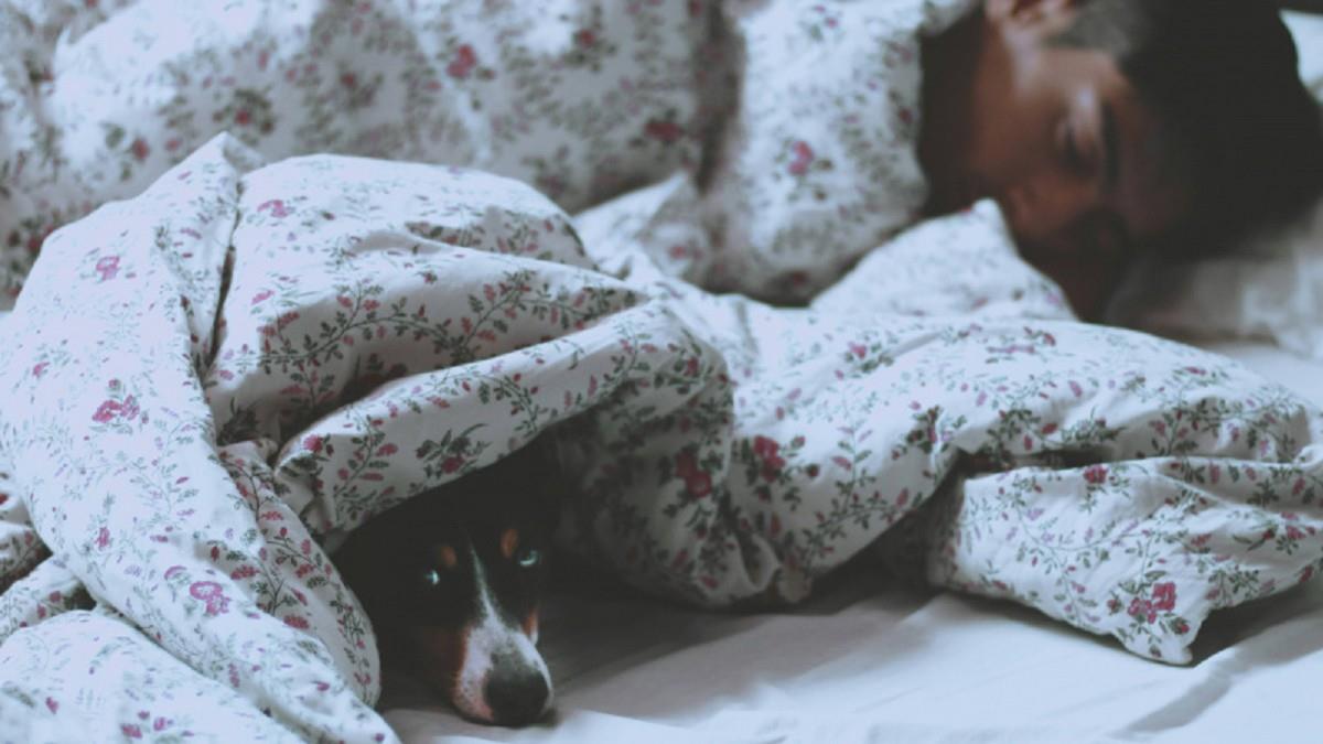 羨慕「躺下就秒睡」？ 專家揭警訊：不是睡眠品質好