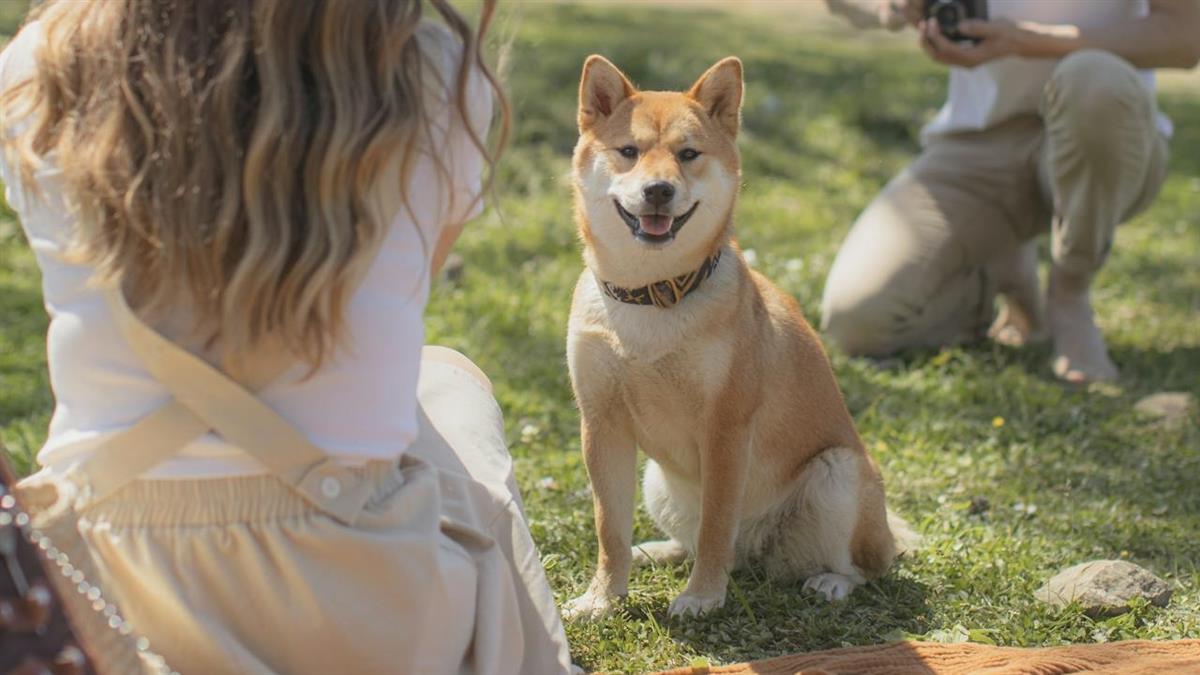 領養寵物被嫌「長得醜又不純」 她氣炸要男友搬走：連房租都沒給