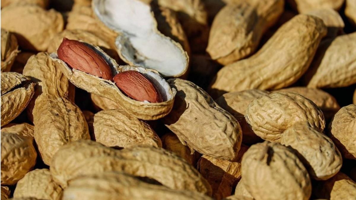 無視勸戒出大事！ 尪把「閒置數月花生」吞下肚：這是媽的愛