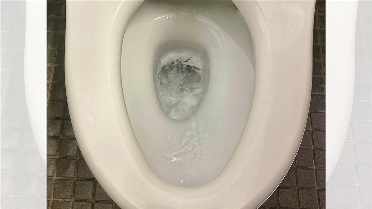 「這物品」標榜可沖馬桶！水電工勸母湯 衛浴大廠也搖頭