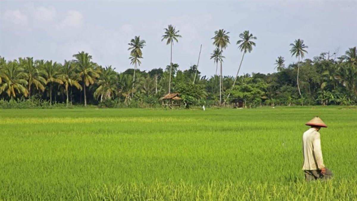 發錢了！符合條件「最高領72萬」 今起開放申請