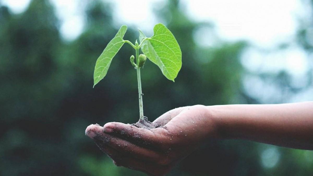 新月將至迎好運！ 12生肖「轉運秘訣」一次看