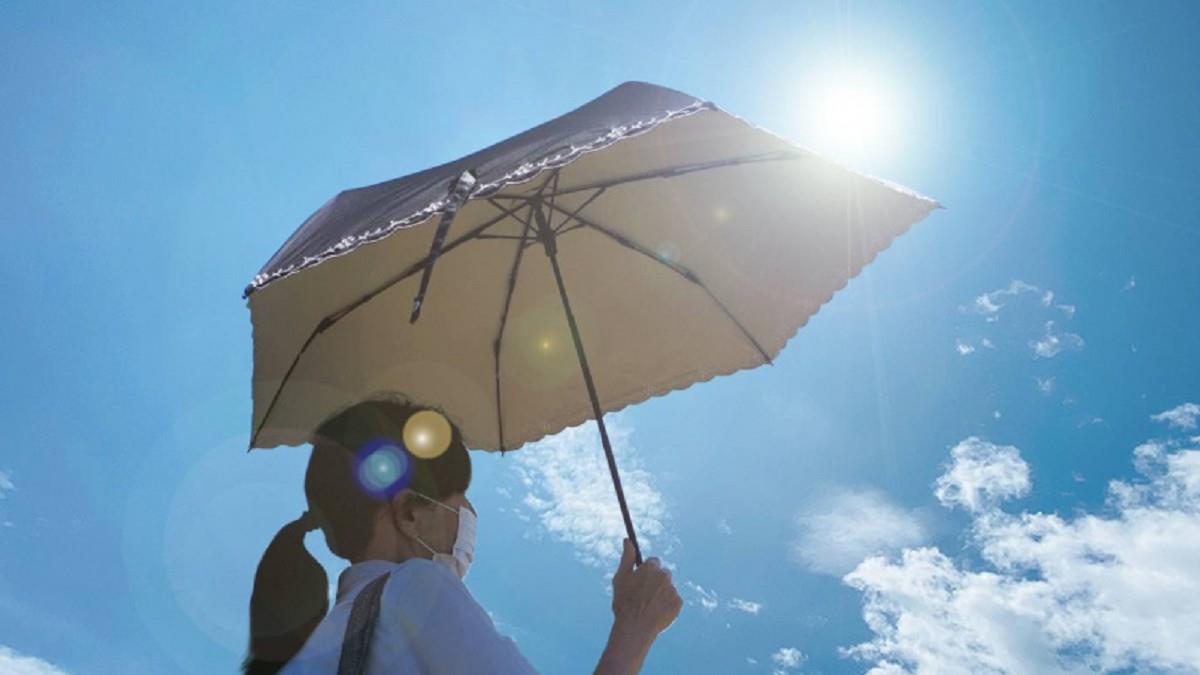 高溫會害腦子「過熱當機」！ 醫示警：恐現永久性後遺症