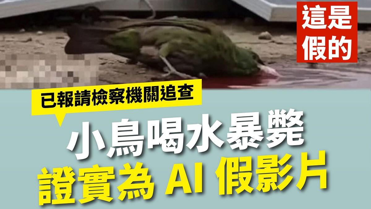 網傳鳥喝光電板紅水暴斃？ 環境部證實：假的